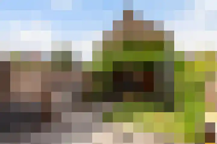 Kastanjedreef 19 Vlaardingen thumbnail 10