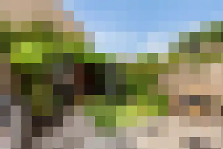 Kastanjedreef 19 Vlaardingen thumbnail 11