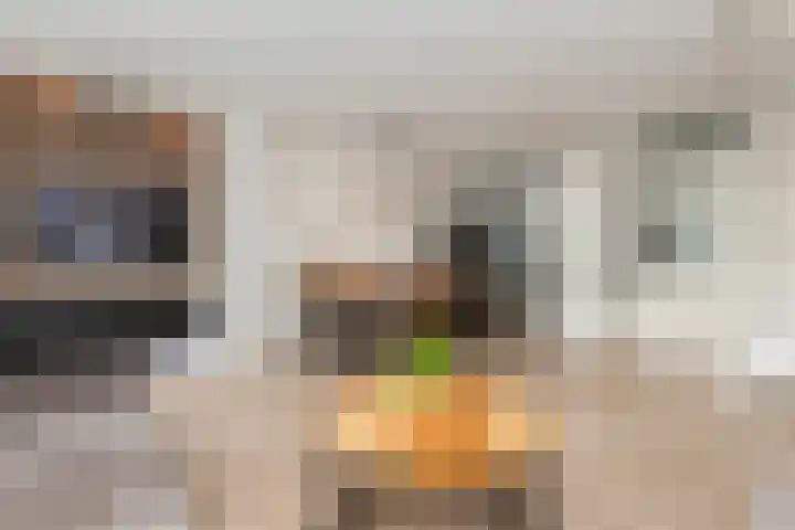 Kastanjedreef 19 Vlaardingen thumbnail 16