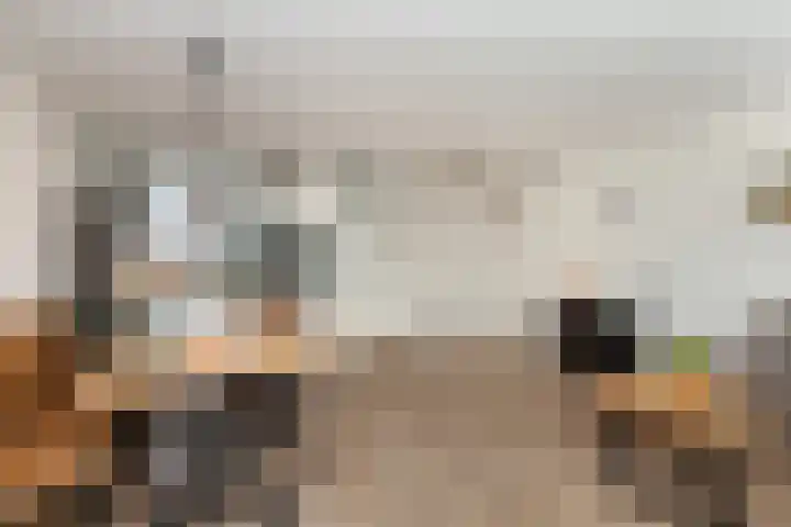 Kastanjedreef 19 Vlaardingen thumbnail 17