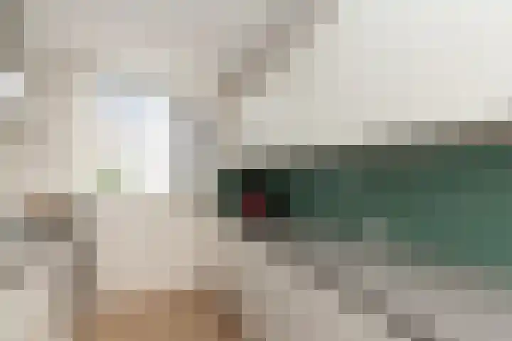 Kastanjedreef 19 Vlaardingen thumbnail 21