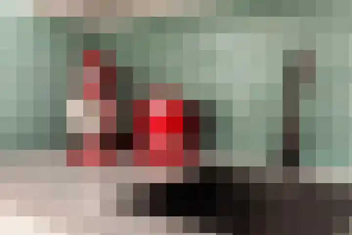 Kastanjedreef 19 Vlaardingen thumbnail 22