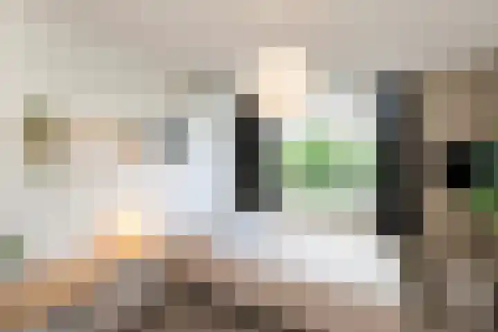 Kastanjedreef 19 Vlaardingen thumbnail 27