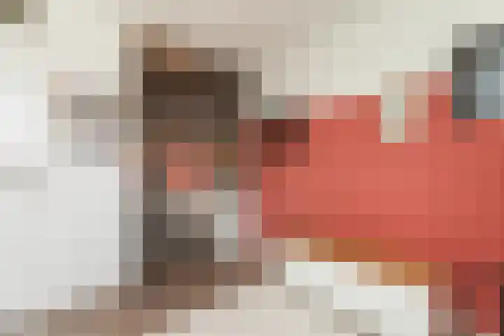Kastanjedreef 19 Vlaardingen thumbnail 31