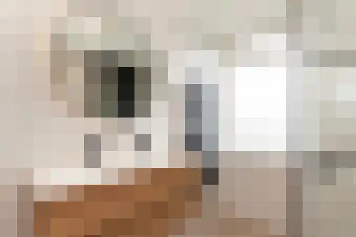 Kastanjedreef 19 Vlaardingen thumbnail 35