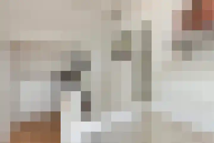 Kastanjedreef 19 Vlaardingen thumbnail 37
