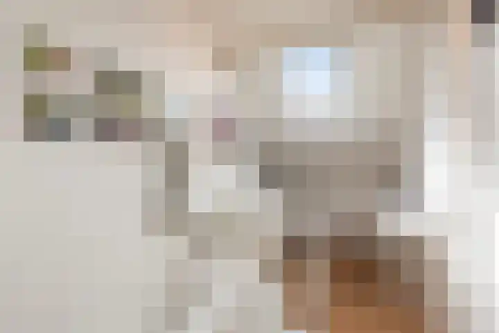 Kastanjedreef 19 Vlaardingen thumbnail 38