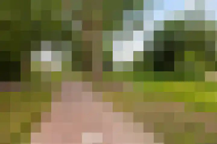 Kastanjedreef 19 Vlaardingen thumbnail 45