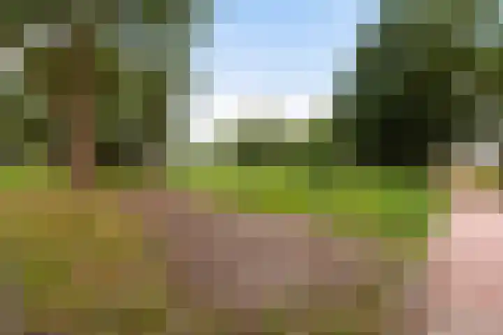 Kastanjedreef 19 Vlaardingen thumbnail 46