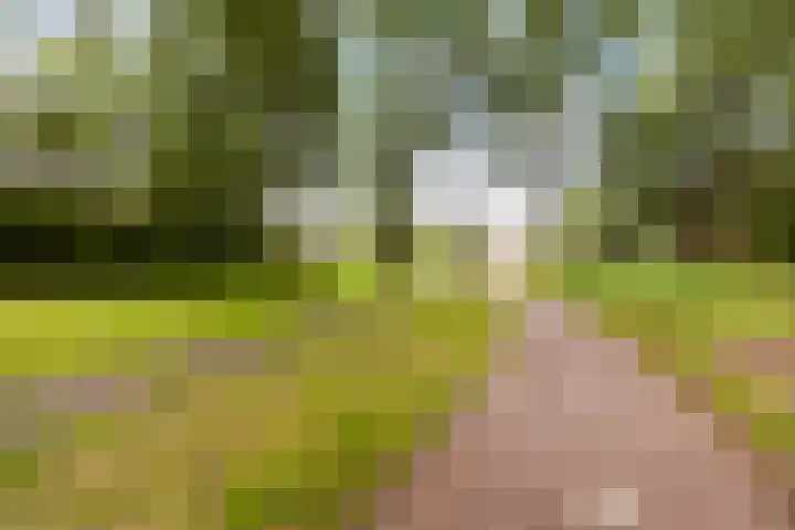Kastanjedreef 19 Vlaardingen thumbnail 47