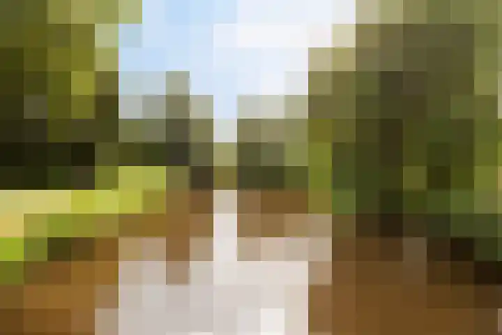 Kastanjedreef 19 Vlaardingen thumbnail 48