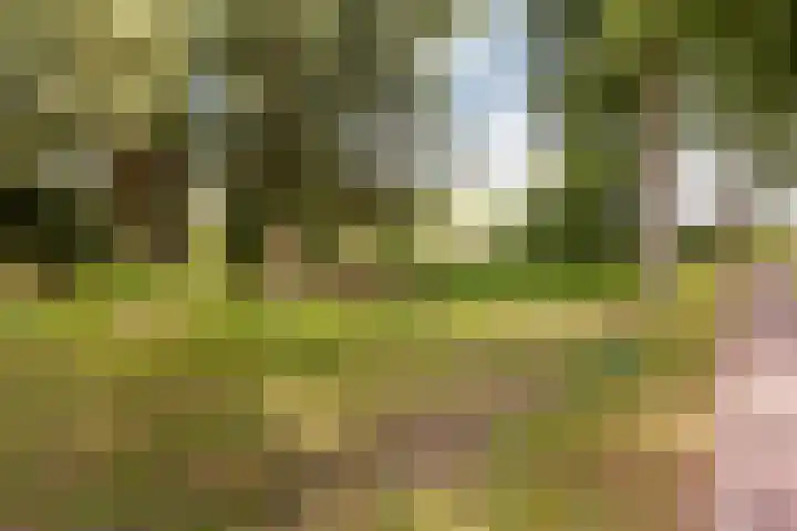 Kastanjedreef 19 Vlaardingen thumbnail 49