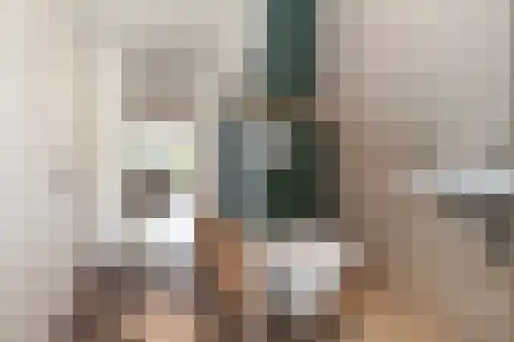 Kastanjedreef 19 Vlaardingen thumbnail 5