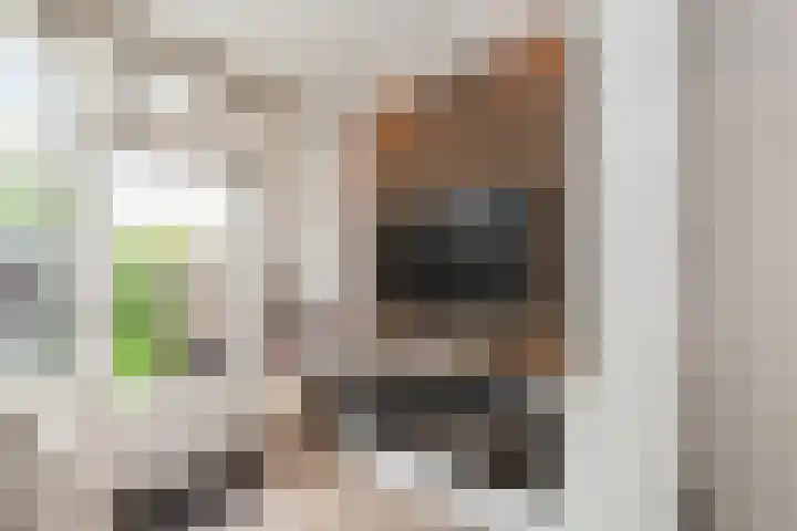Kastanjedreef 19 Vlaardingen thumbnail 7