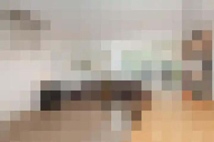 Kastanjedreef 19 Vlaardingen thumbnail 8