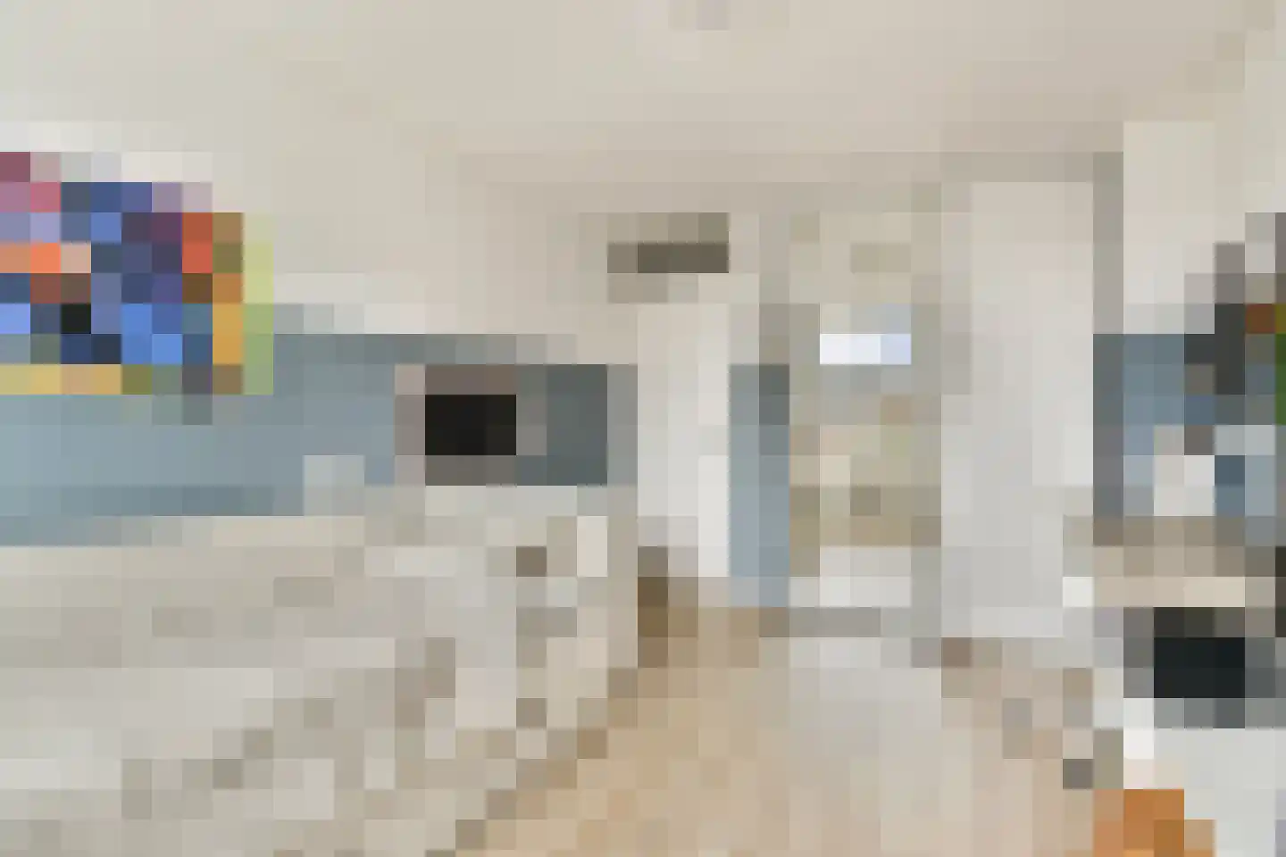 Kastanjedreef 21 Vlaardingen thumbnail 13