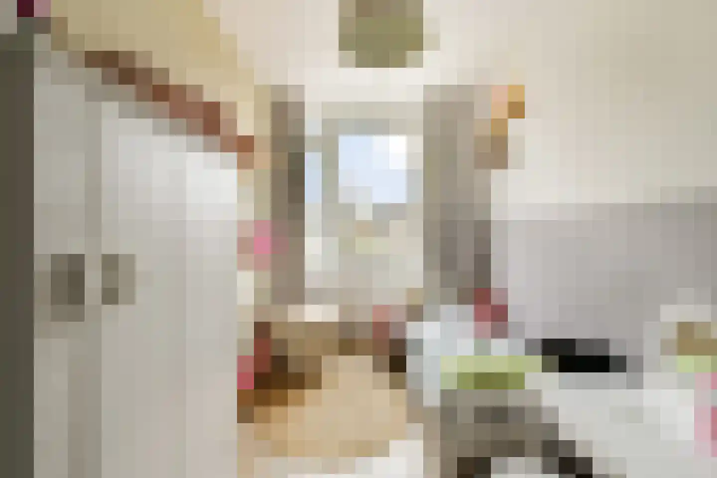 Kastanjedreef 21 Vlaardingen thumbnail 18
