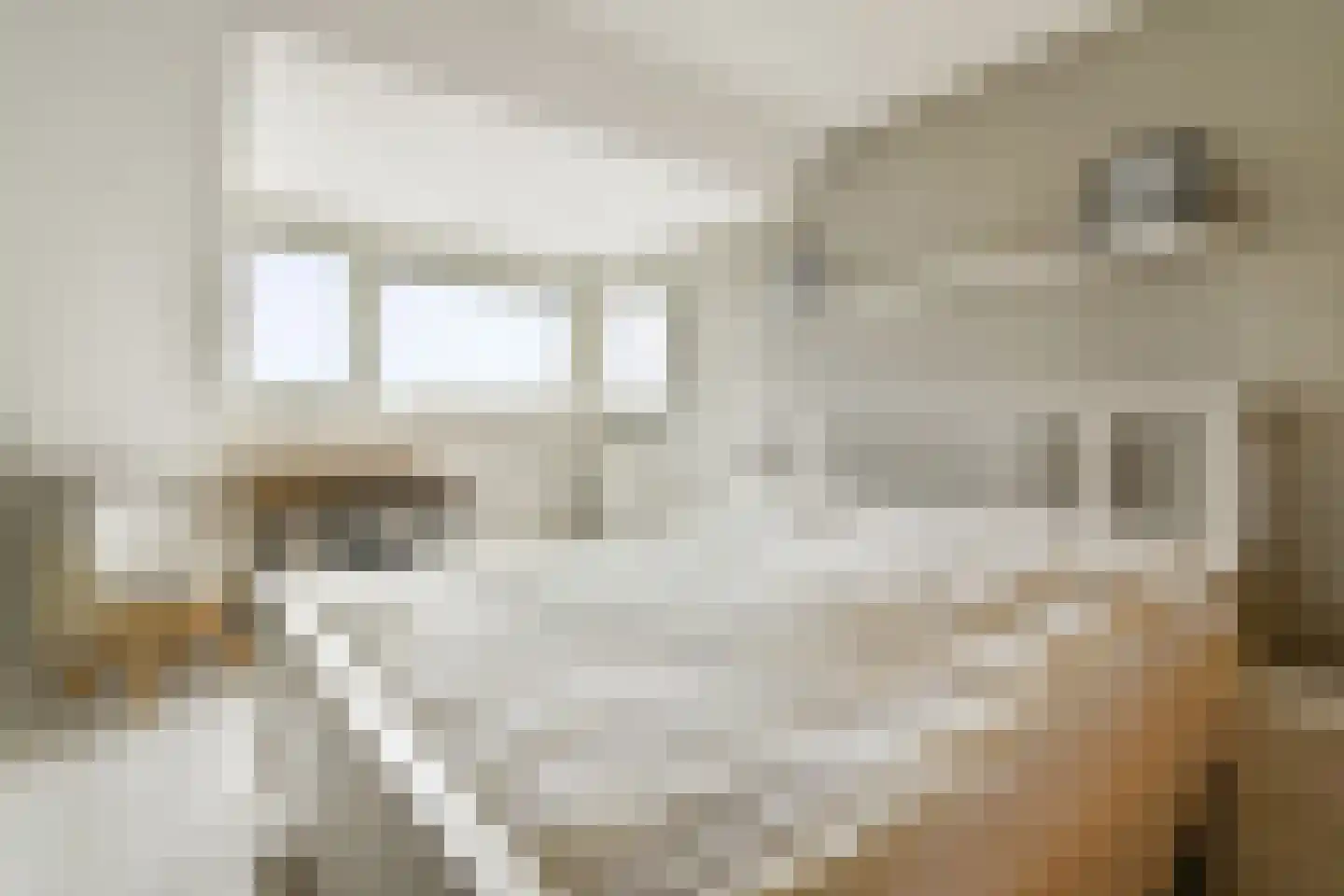 Kastanjedreef 21 Vlaardingen thumbnail 21