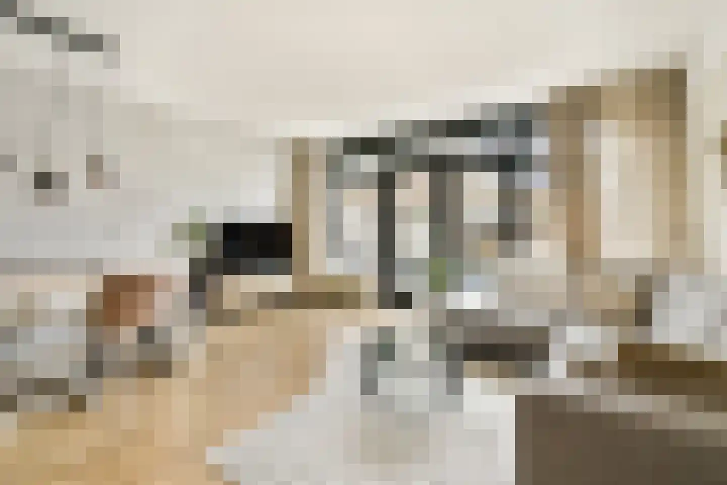 Kastanjedreef 21 Vlaardingen thumbnail 4