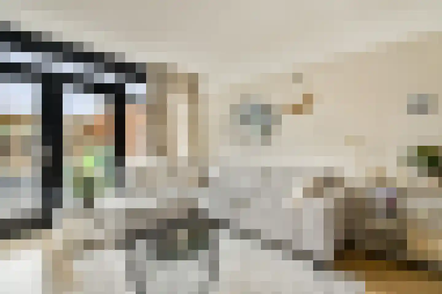 Kastanjedreef 21 Vlaardingen thumbnail 5