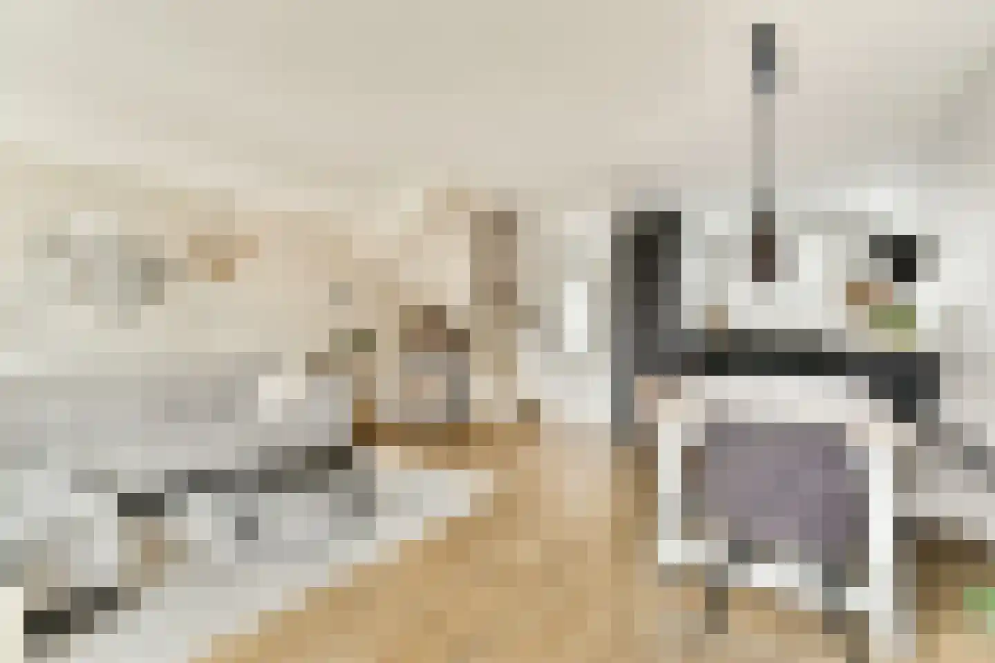 Kastanjedreef 21 Vlaardingen thumbnail 6
