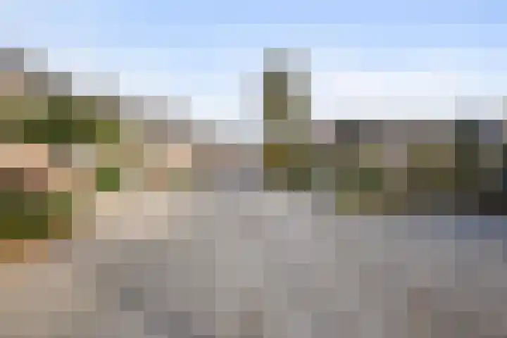 Kastanjedreef 38 Heeswijk-Dinther thumbnail 39
