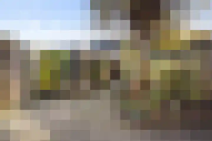 Kastanjedreef 38 Heeswijk-Dinther thumbnail 4