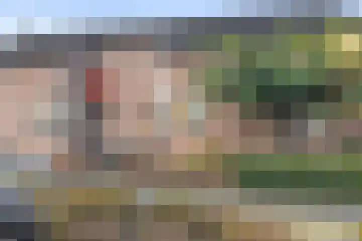 Kastanjedreef 38 Heeswijk-Dinther thumbnail 41