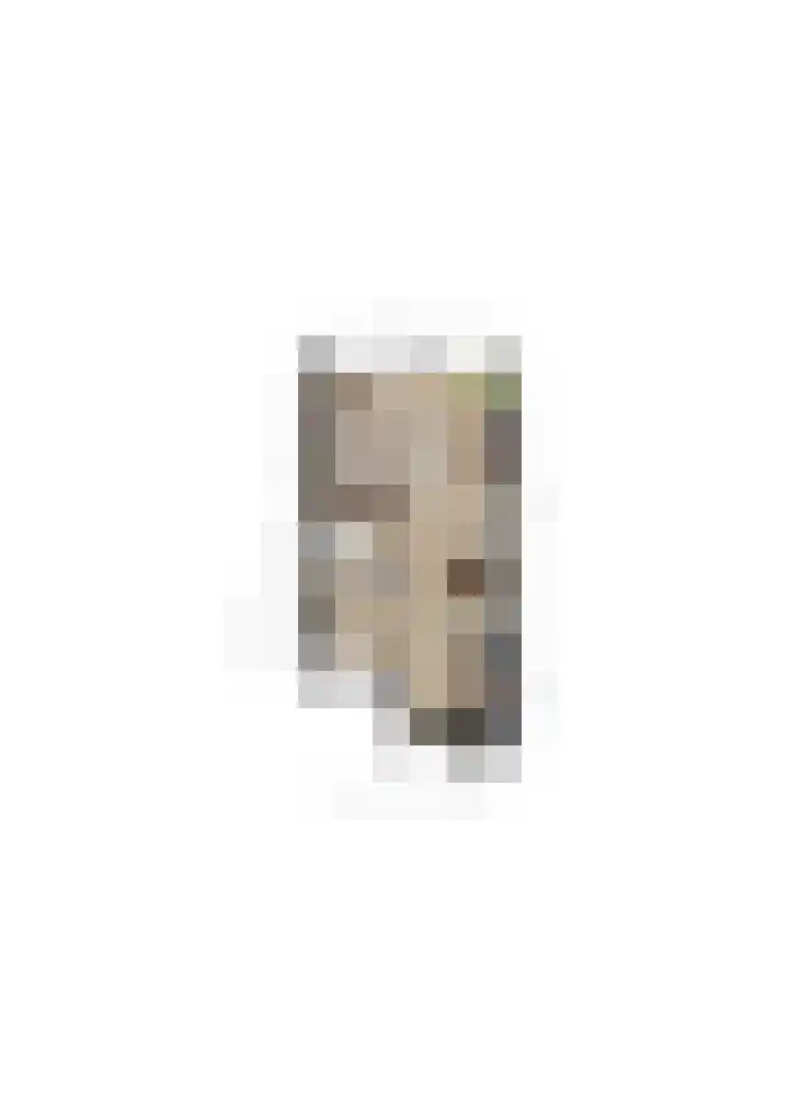 Kastanjedreef 38 Heeswijk-Dinther thumbnail 42