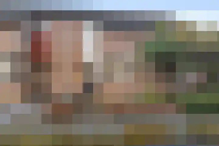 Kastanjedreef 38 Heeswijk-Dinther thumbnail 5