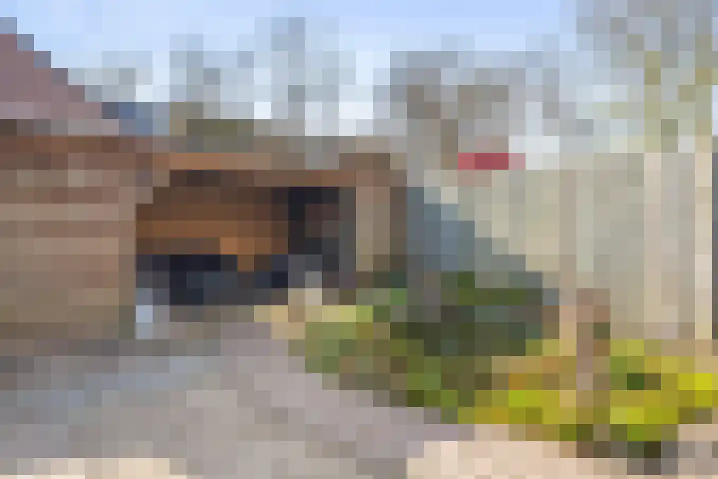 Kastanjedreef 51 Heeswijk-Dinther thumbnail 32