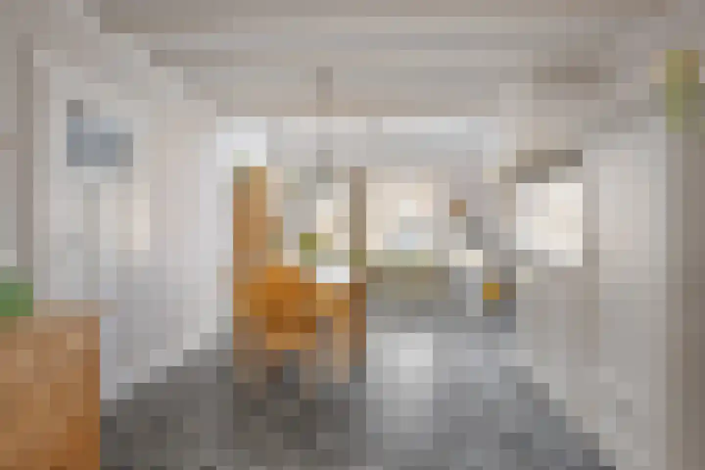 Kastanjedreef 51 Heeswijk-Dinther thumbnail 8