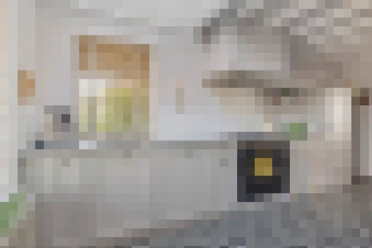 Kastanjedreef 51 Heeswijk-Dinther thumbnail 9