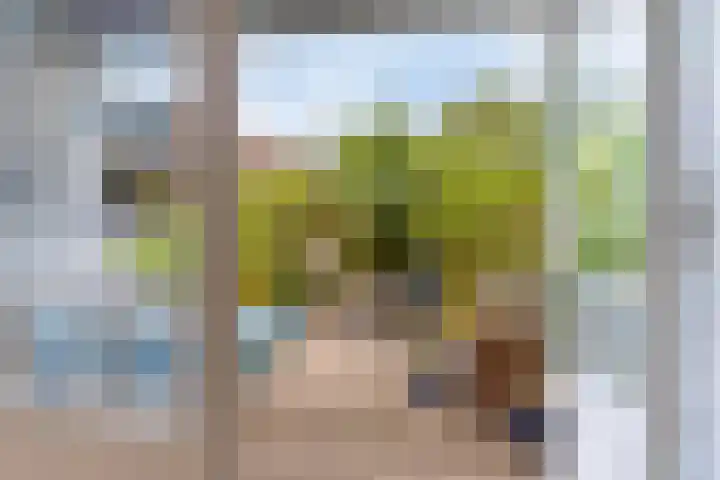 Kastanjedwarsstraat 5 Lochem thumbnail 17