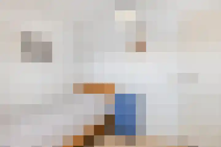 Kastanjedwarsstraat 5 Lochem thumbnail 30