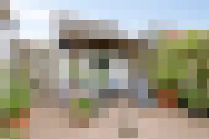 Kastanjedwarsstraat 5 Lochem thumbnail 31