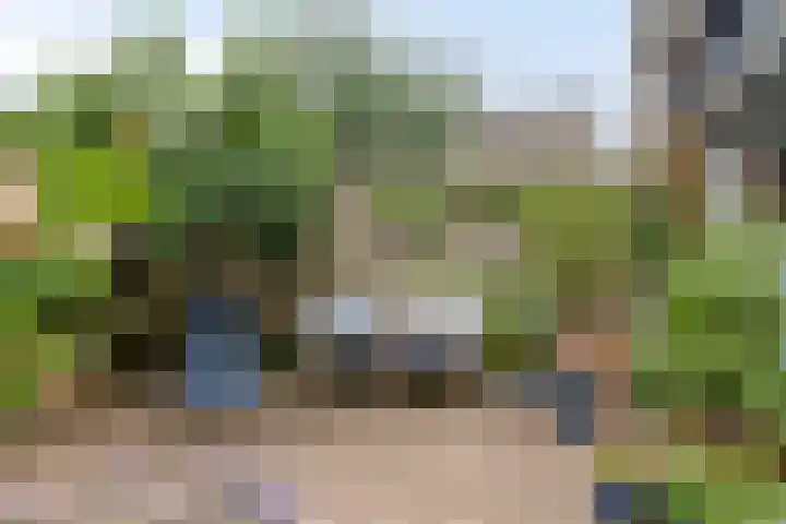 Kastanjedwarsstraat 5 Lochem thumbnail 32