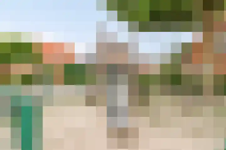 Kastanjedwarsstraat 5 Lochem thumbnail 36