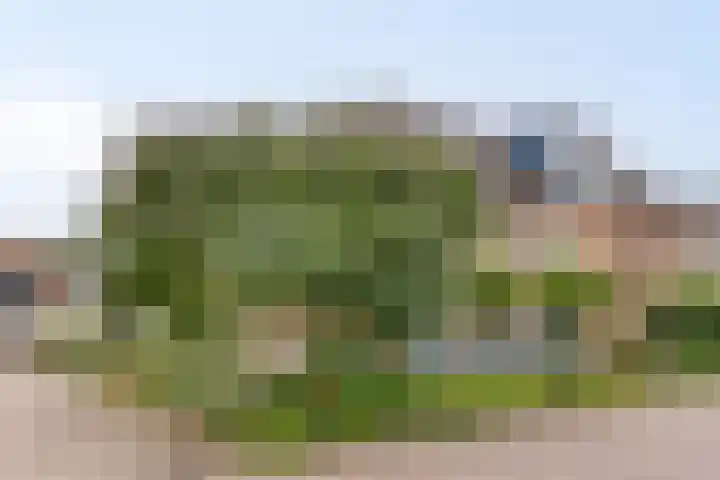 Kastanjedwarsstraat 5 Lochem thumbnail 7