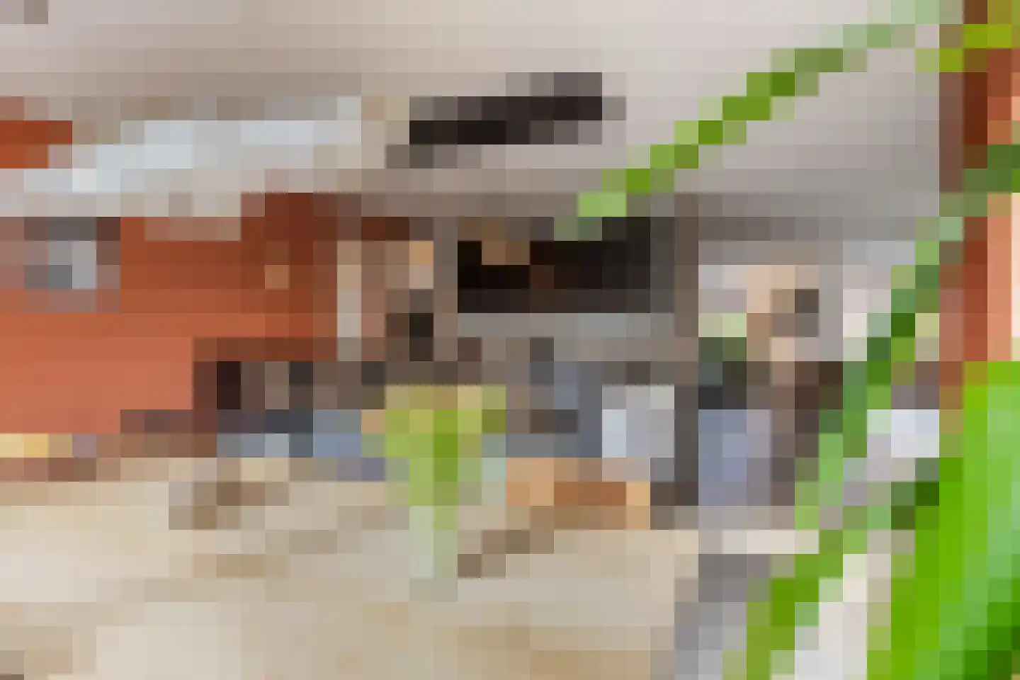 Kastanjehof 10 Velp thumbnail 21