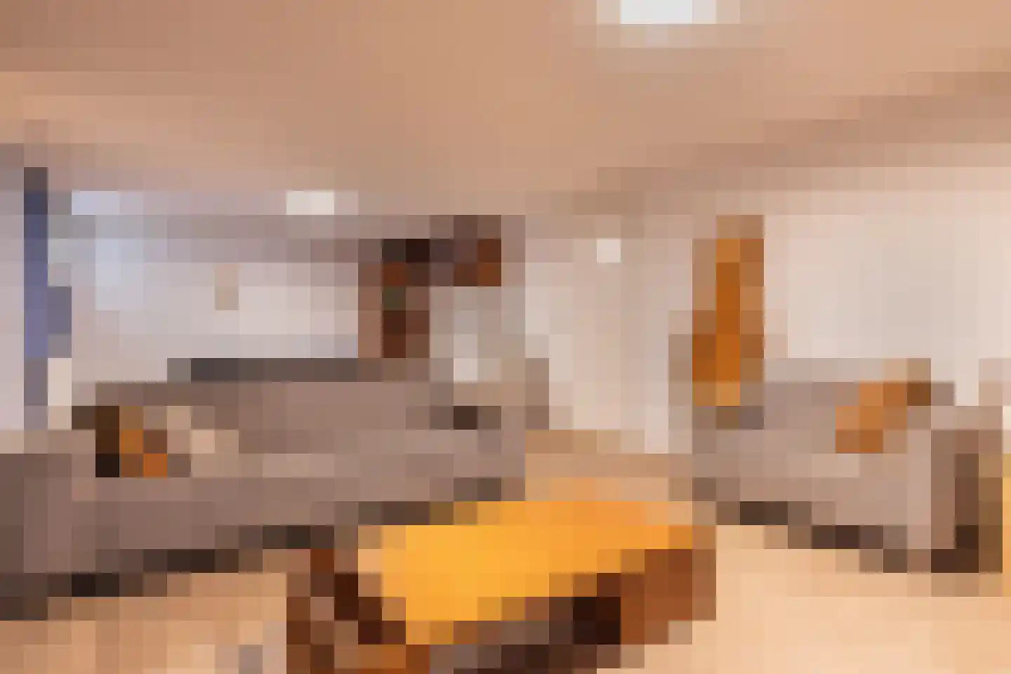 Kastanjehof 10 Velp thumbnail 28