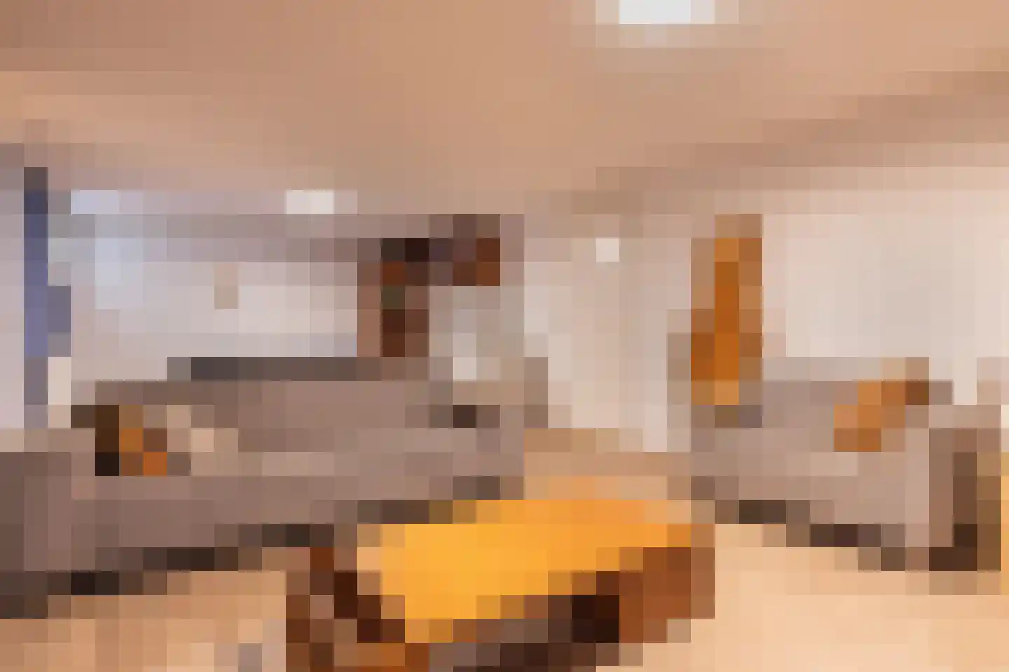Kastanjehof 10 Velp thumbnail 28