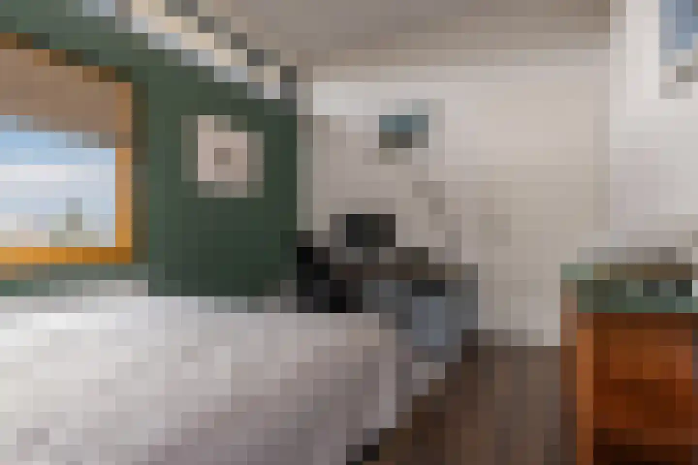 Kastanjehof 10 Velp thumbnail 39