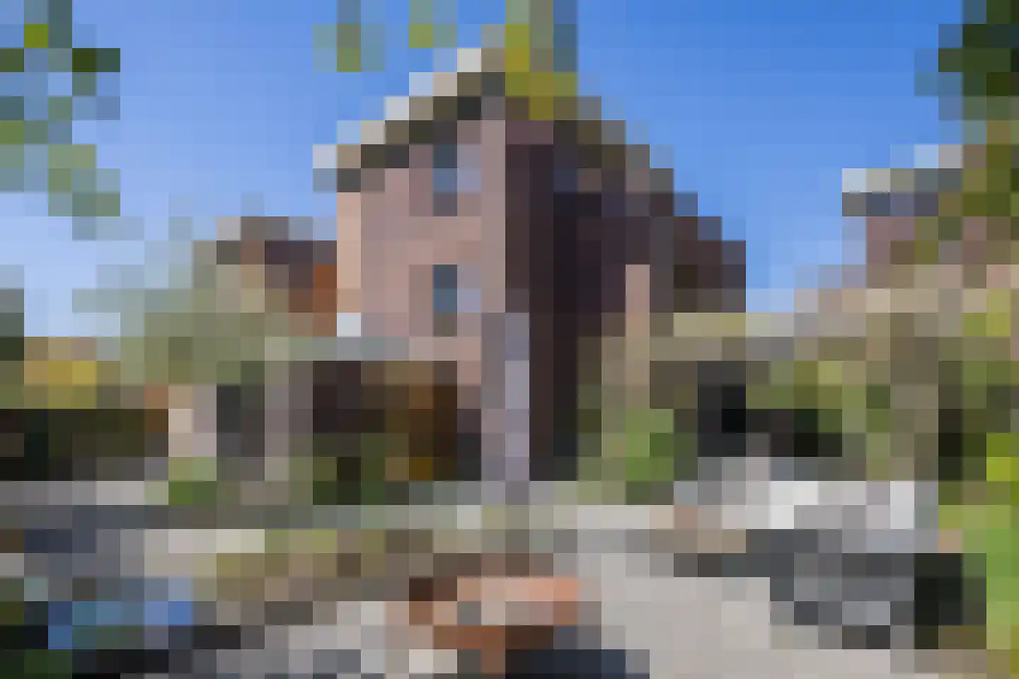 Kastanjehof 10 Velp thumbnail 42