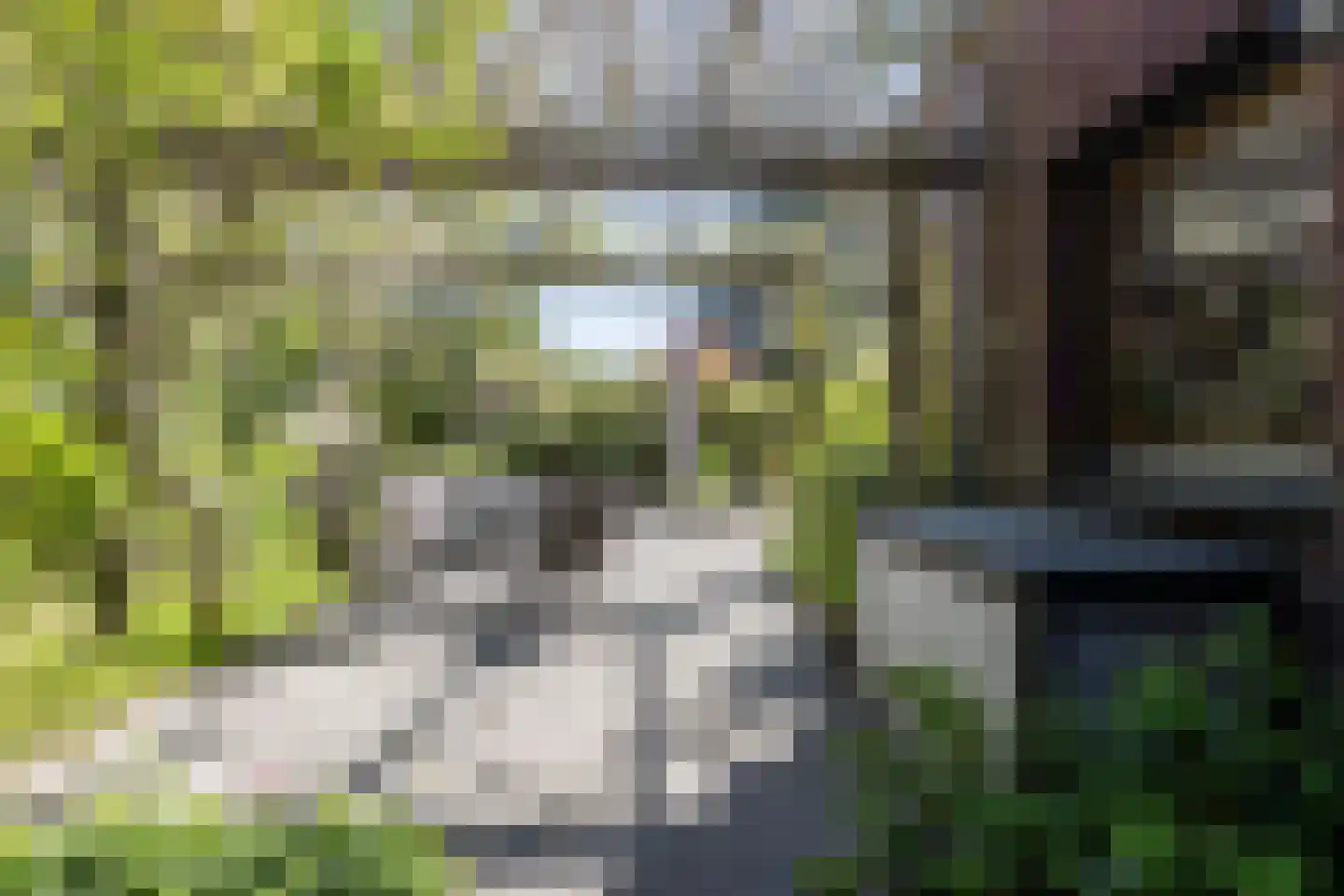 Kastanjehof 10 Velp thumbnail 43