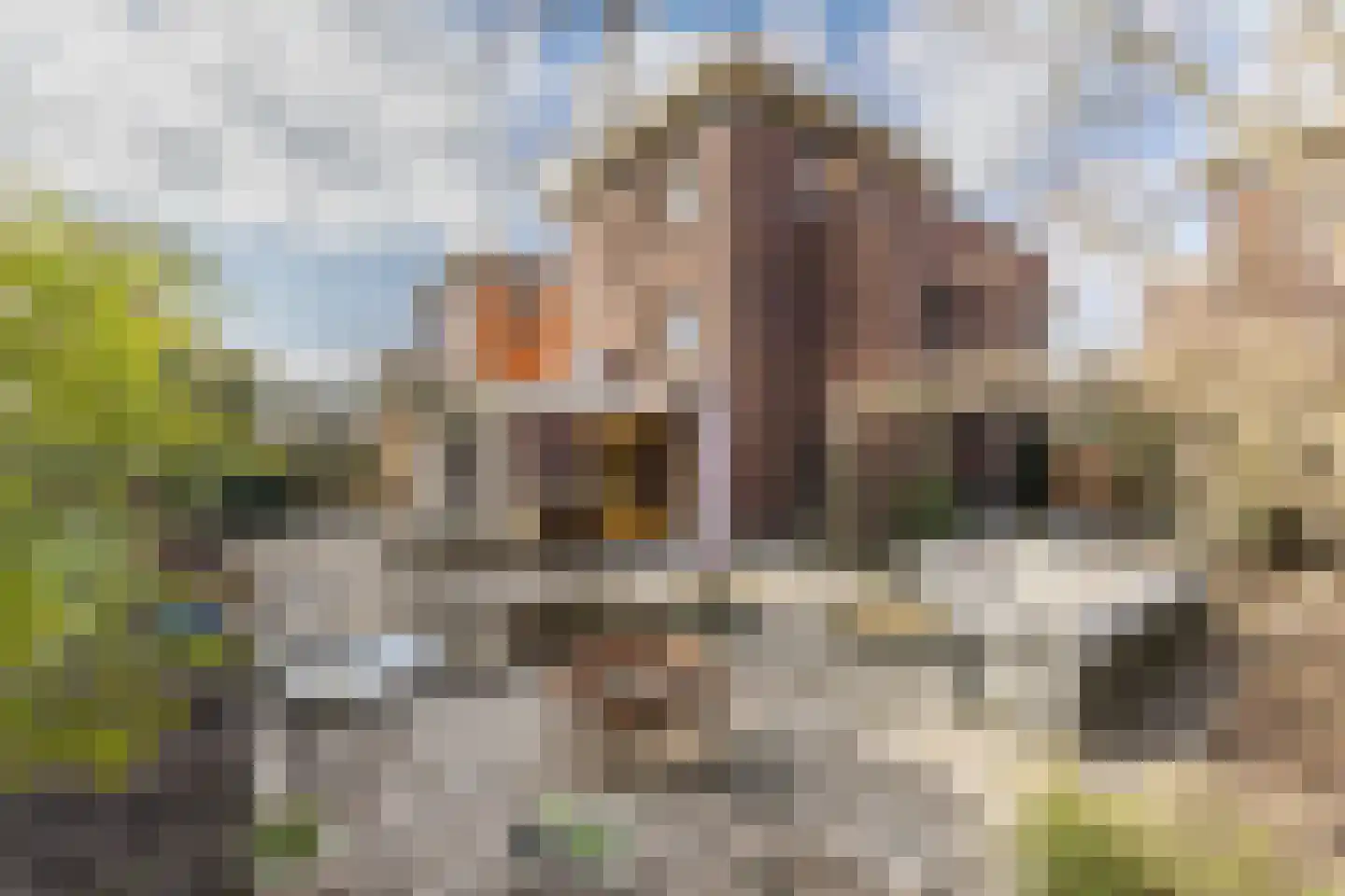 Kastanjehof 10 Velp thumbnail 44