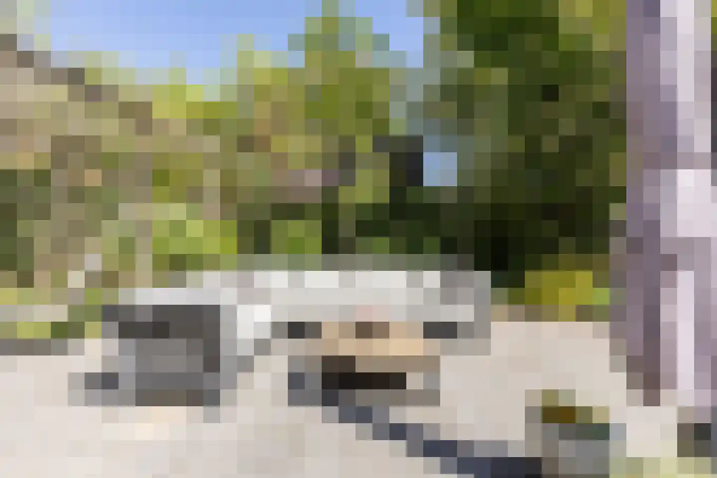 Kastanjehof 10 Velp thumbnail 45
