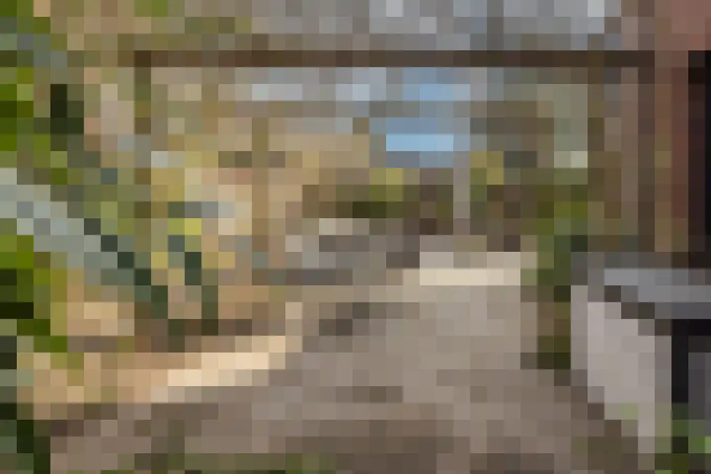 Kastanjehof 10 Velp thumbnail 45