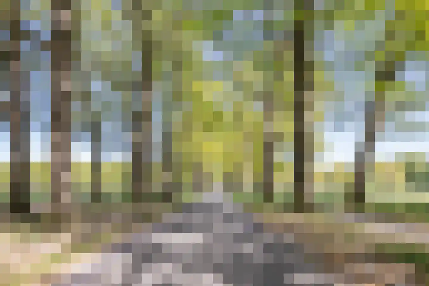 Kastanjehof 10 Velp thumbnail 49