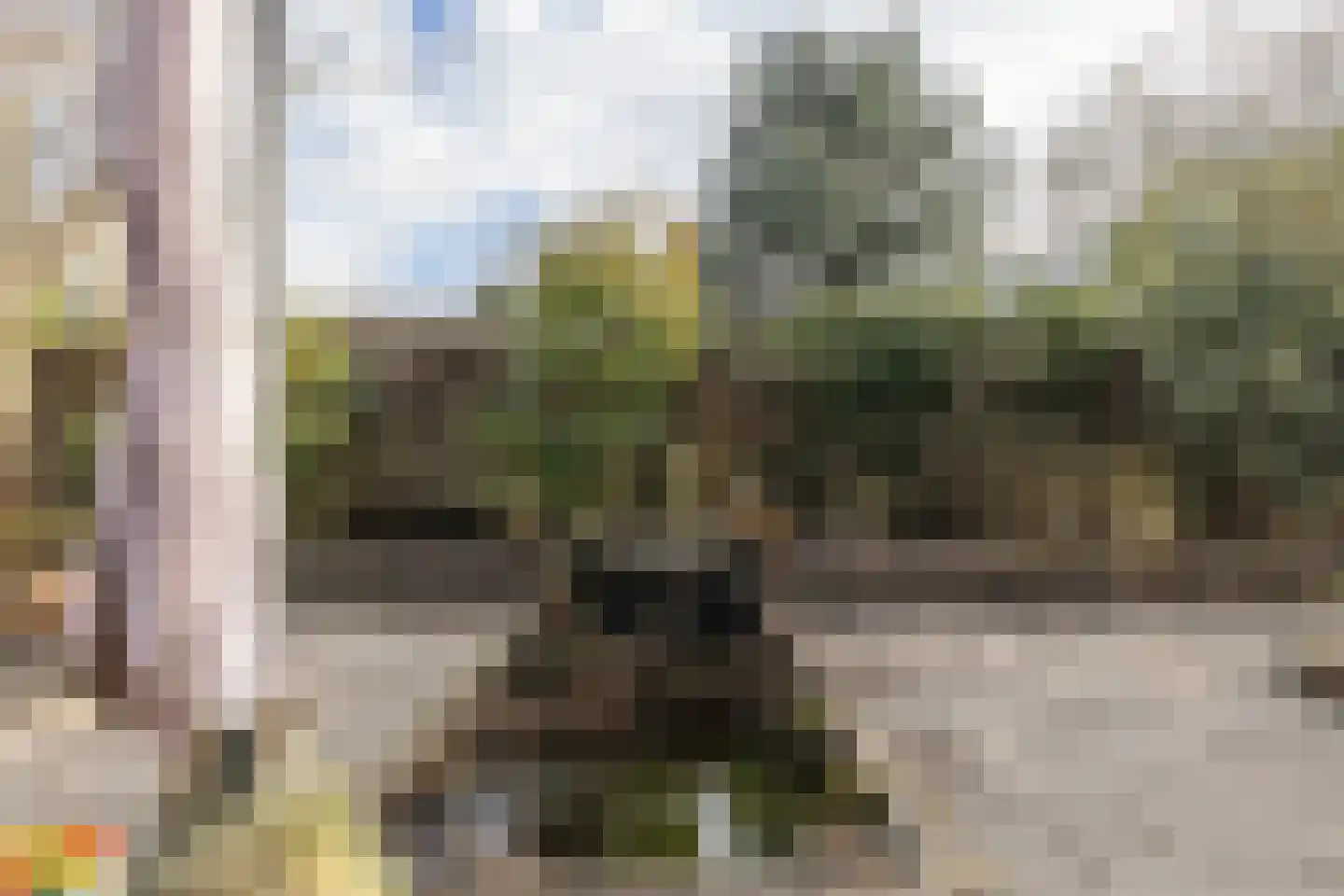 Kastanjehof 10 Velp thumbnail 49
